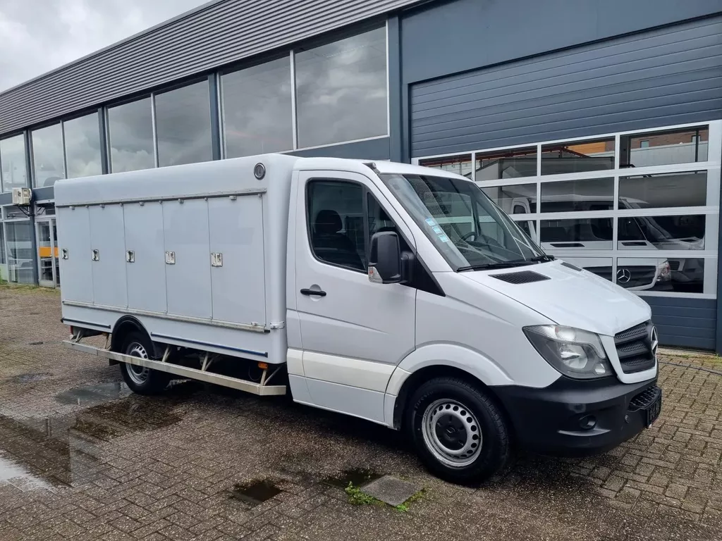 Mercedes-Benz Sprinter 313 CDI 10 Turen ICE -40C Carlsen Baltic EURO 5